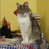 Отзыв от Ангелина Вишневская